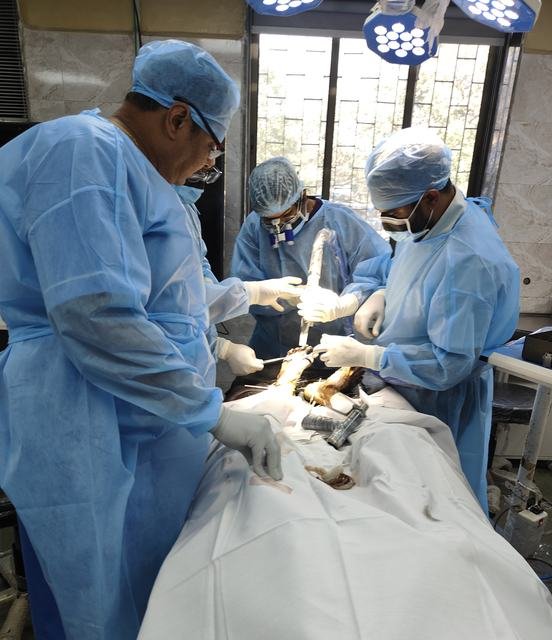 Dr. Ashutosh Shah at Hands-on surgical workshop, Mumbai (Dec 2025), photo 1