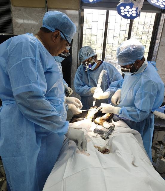 Dr. Ashutosh Shah at Hands-on surgical workshop, Mumbai (Dec 2025), photo 2
