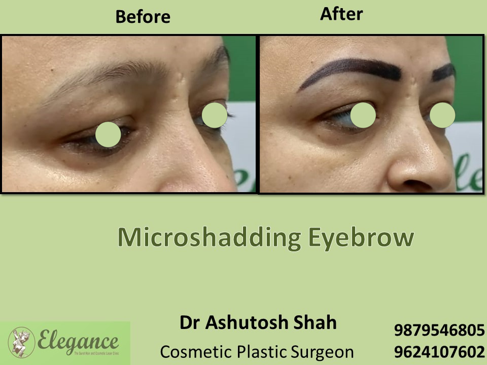 Microshading Brow