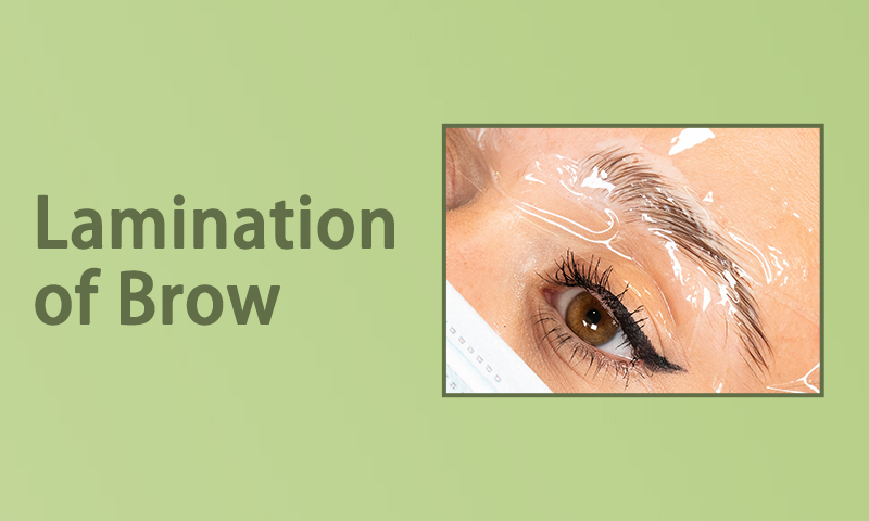 Lamination of brow