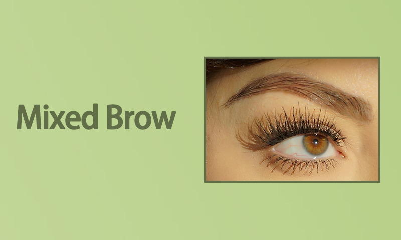 Mixed Brow